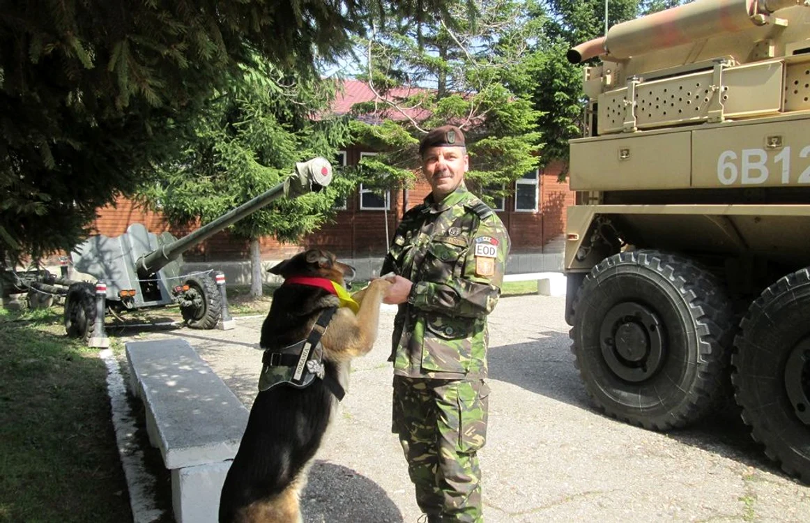 Plutonierul adjutant Nicolae Constantin lucreaza cu Bita de opt ani. FOTO Irina Ripan
