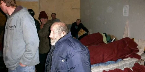 Adăpostul de pe strada Învăţătorului din Timişoara