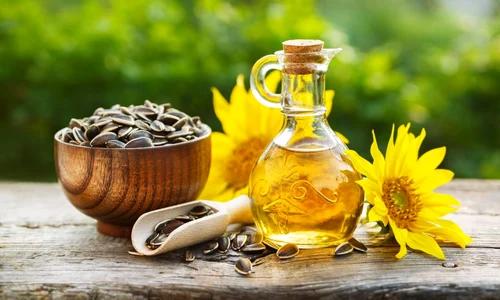 floarea soarelui shutterstock 687011962 jpg