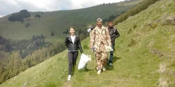 poiana cu narcise 