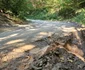 Satul Tomnatec din Hunedoara Foto Daniel Guță ADEVĂRUL (2) jpg