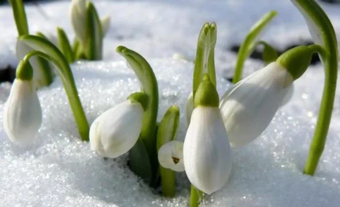 Vom avea o primăvară bogată în precipitaţii