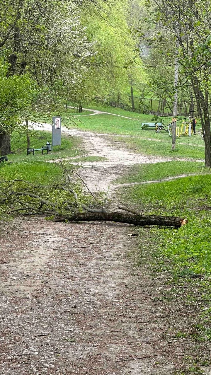 Chișinăul, lovit de vânt puternic: un om a murit, iar cel puțin patru persoane au ajuns la spital