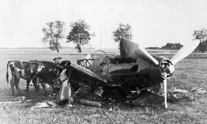 Avion sovietic MiG-3, distrus în timpul Operațiunii Barbarossa (© Wikimedia Commons) 