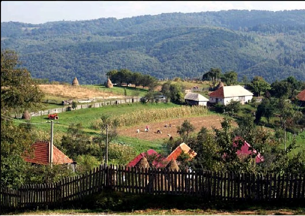
    Edilul din comuna Bătrâna, cea mai săracă localitate din țară, este bogat  
