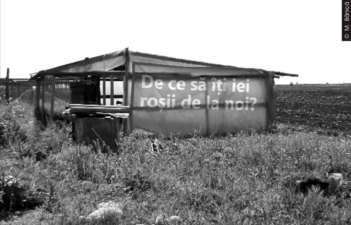 Cu ochii n 3,14 jpeg