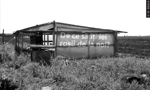 Cu ochii n 3,14 jpeg