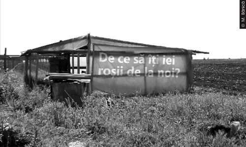 Cu ochii n 3,14 jpeg