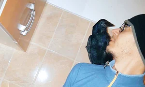 7 1 cronco1 2col jpeg