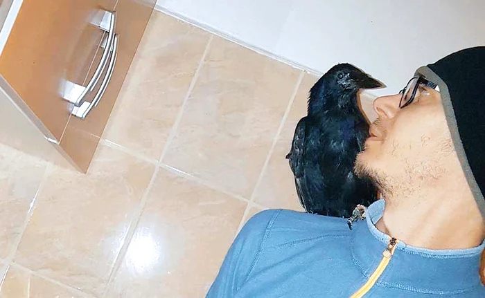 
    Îi place să stea pe umărul lui Dumitru  