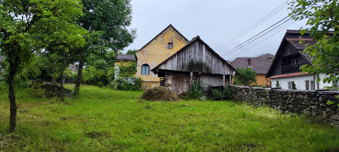Casele din Grădistea Sarmizegetusa  Foto Radu Steolea (19) jpeg