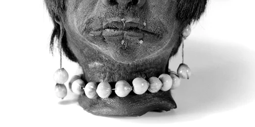 A shrunken head, Jivaro Indian, Ecuador, S America Wellcome M0014533 jpg