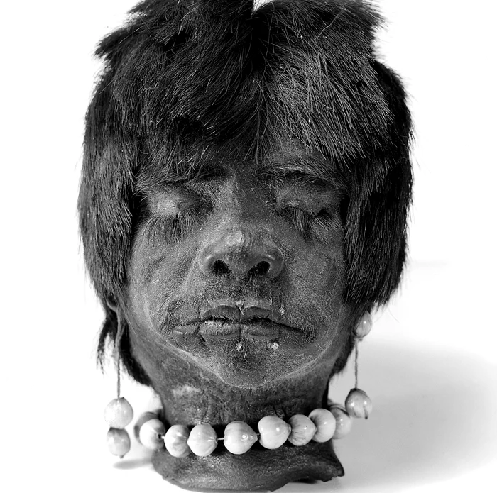 Jivaro supuneau capetele unui proces de micșorare și uscare / Foto: Adevărul.ro