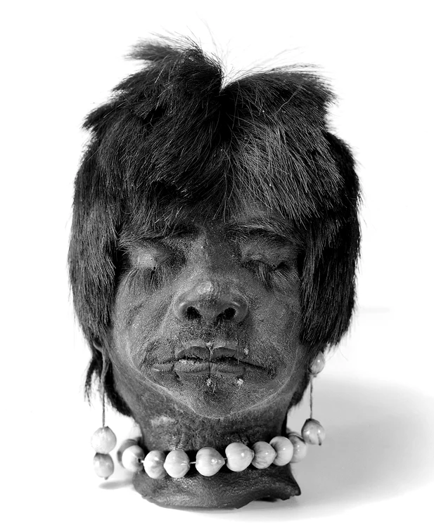 Capete uscate ale Jivaro FOTO wikipedia