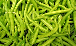 fasole verde jpeg