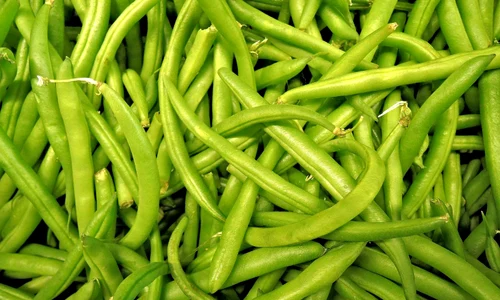 fasole verde jpeg