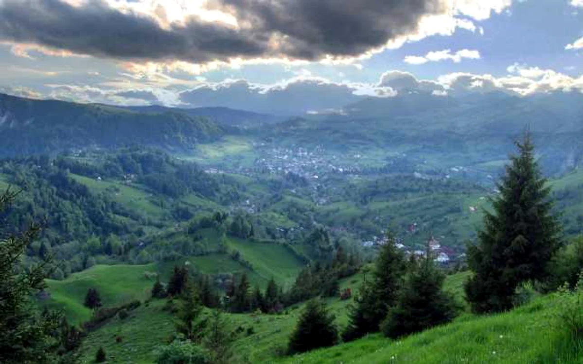 murit in timp ce fura lemne FOTO:Arhiva