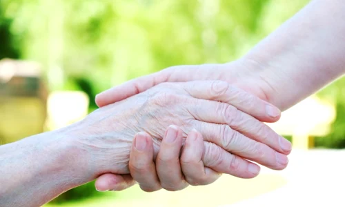 shutterstock 659572864 jpg