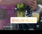 16 show zi de nastere andra barman jpg jpeg