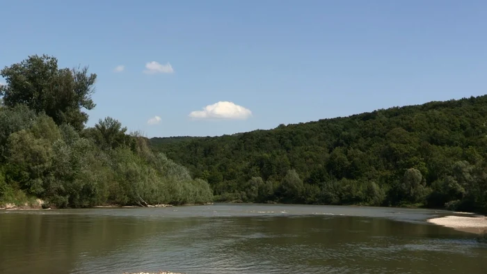 Frumuseţea Prutului prin pădurile de la Suharău FOTO Cosmin Zamfirache