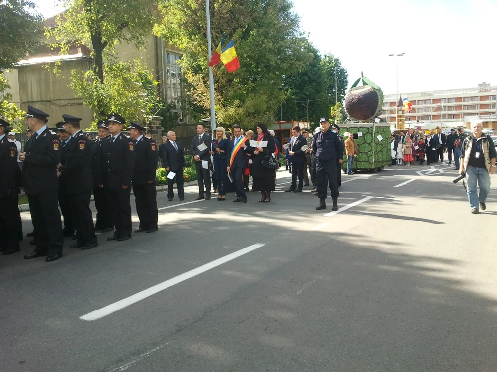 udrea La Baia Mare