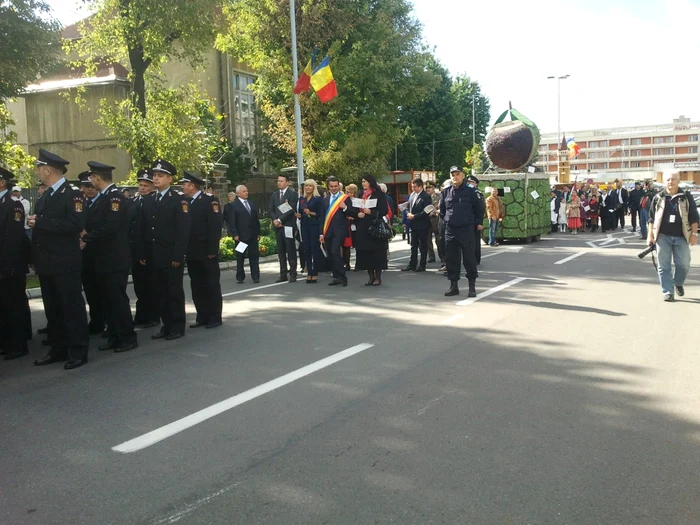 udrea La Baia Mare