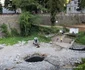 Băile Herculane Foto Daniel Guță ADEVĂRUL (40) JPG