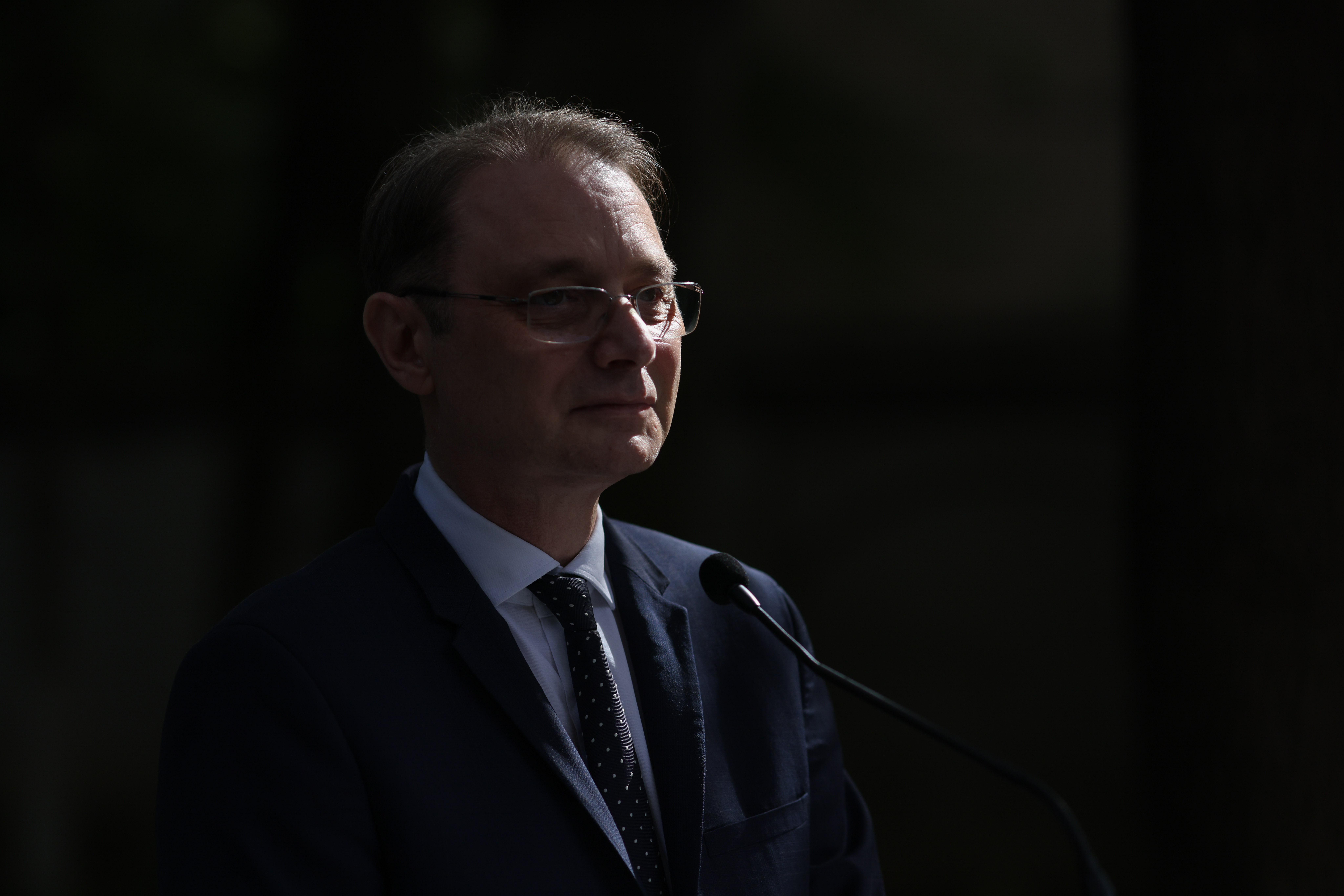 Luca Niculescu, Sorin Grindeanu consultari guvern la PSD  3 jpg