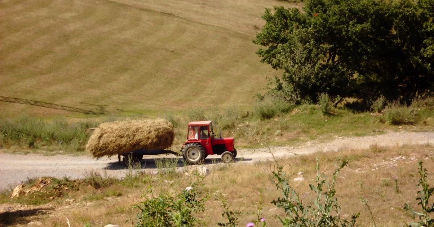 FOTO: Adevărul