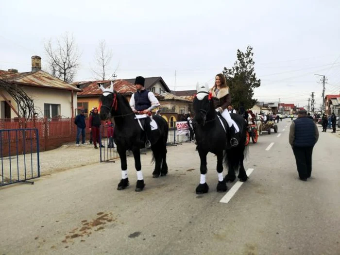 pastele cailor 2019