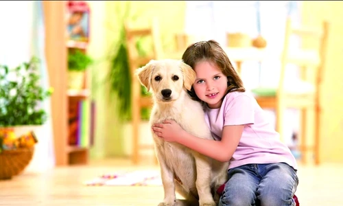 1 46987 original jpg jpeg