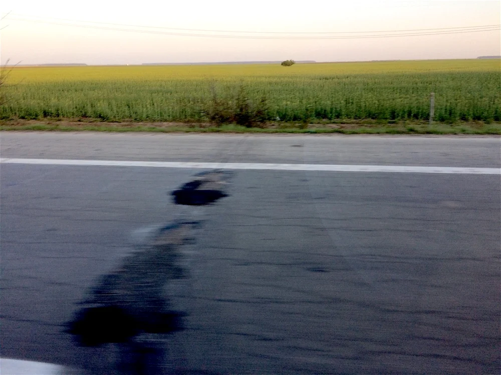 calarasi autostrada FOTO Sînziana Ionescu