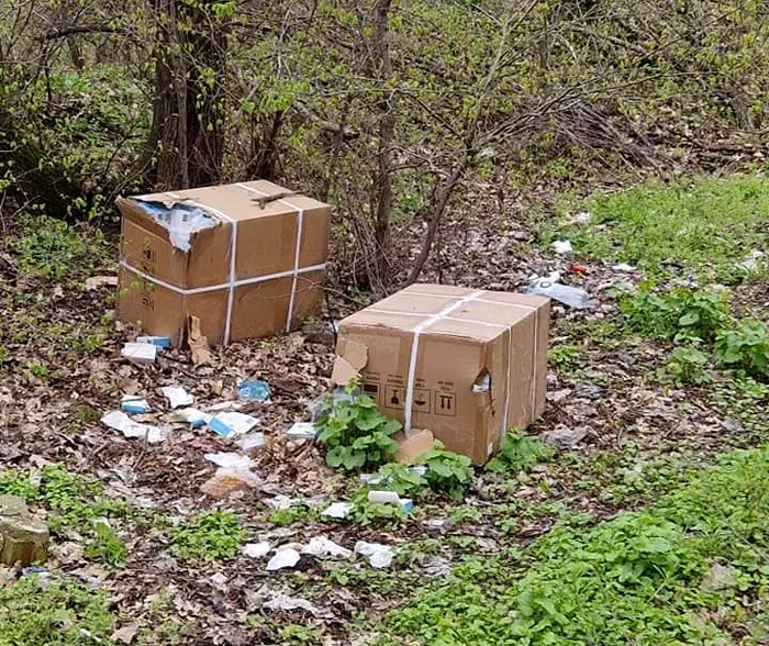 Cutiile erau în apropierea pădurii Crâng SURSA Ionuț Apostu
