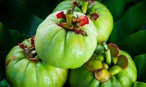 Garcinia cambogia, fructul care te ajută să slăbeşti jpeg