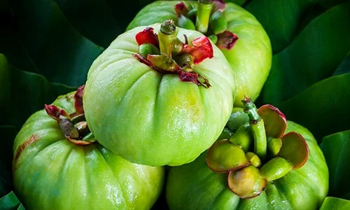 Garcinia cambogia, fructul care te ajută să slăbeşti jpeg