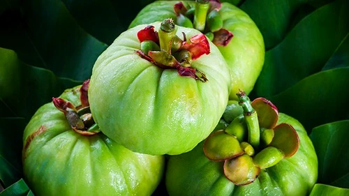 Garcinia cambogia, fructul care te ajută să slăbeşti jpeg