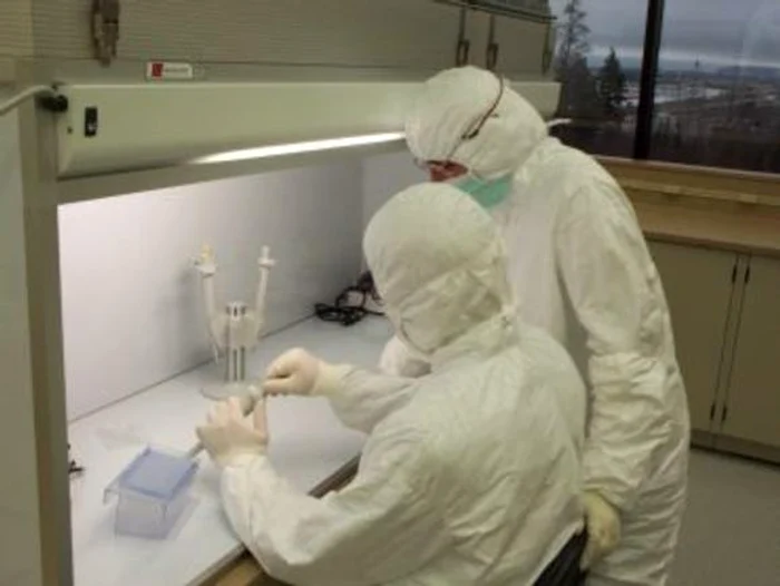 Virusul gripal se extinde