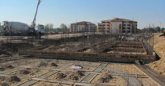 Institutul de Cercetare Ştiinţifică şi Tehnologică Multidisciplinară, Târgovişte