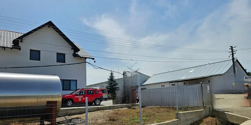 ibanesti fabrica cascaval jpg