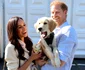 Ducii de Sussex  foto   GettyImages