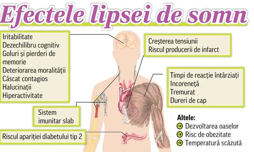 efecte 982151215 jpeg