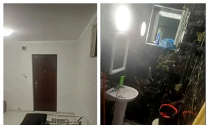 BeFunky collage   2026 03 01T130421 416 jpg