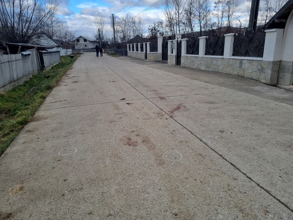 preutesti suceava 
