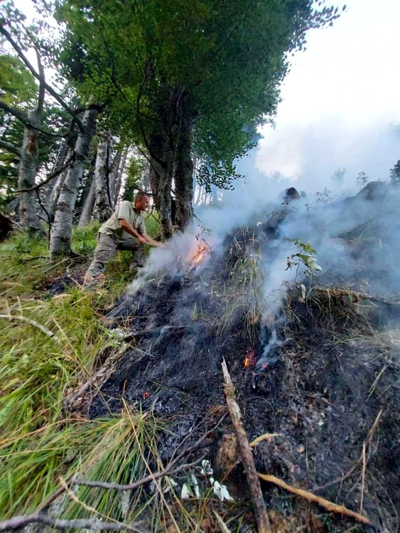 incendiu padure