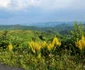 Privelisti de pe Transalpina Pădurenilor Foto Daniel Guță (8) jpg