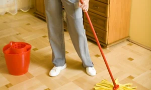 femeie menajera face curatenie 7 12 2009 4 03 26 pm jpeg