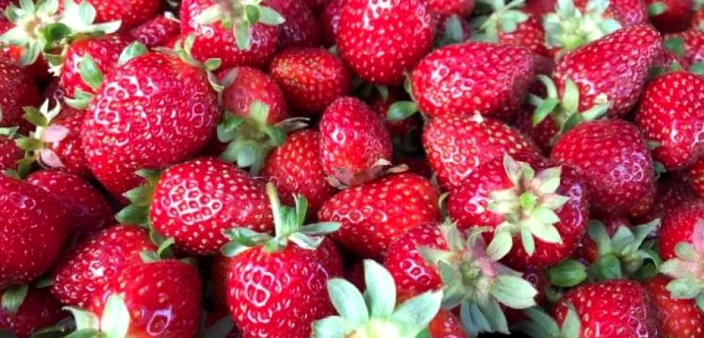 Dacă vreţi ceva dulce şi răcoros, încercaţi  îngheţata cu căpşuni FOTO: arhiva