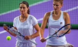 niculescu begu ifto3952m jpeg