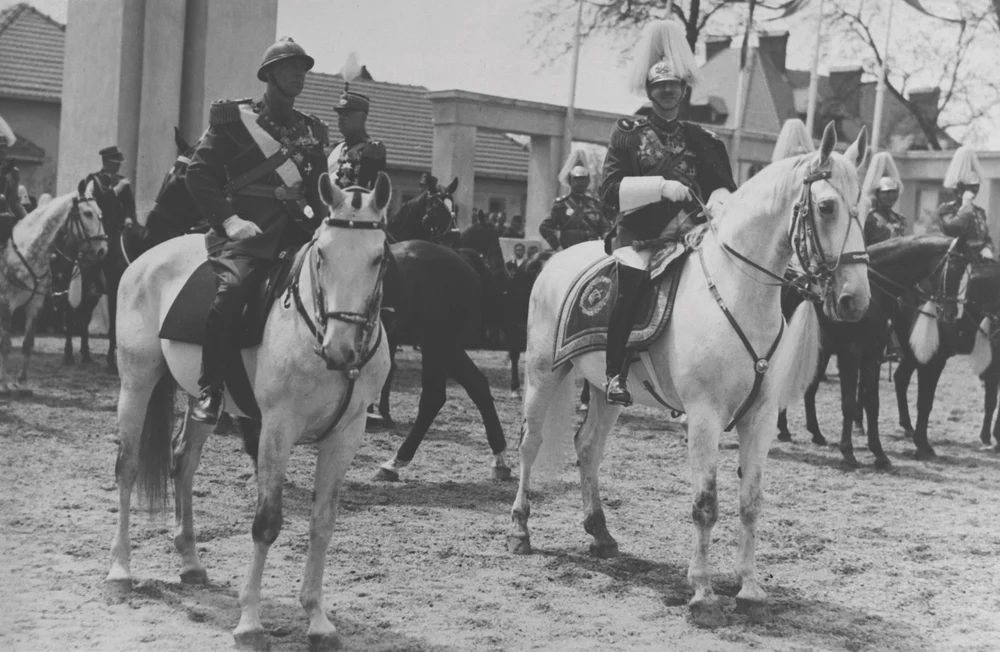 Eșecul copilului preferat al României. Parcursul prințului de vis al Casei Regale: de la tânără speranță la mare dezamăgire