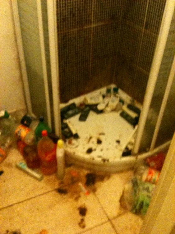 Pereţii, tavanul şi podelele erau mânjite cu excremente